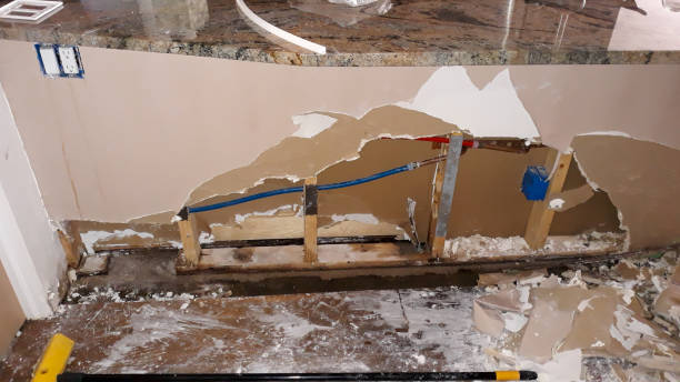 Best Ceiling water damage repair  in Paducah, TX