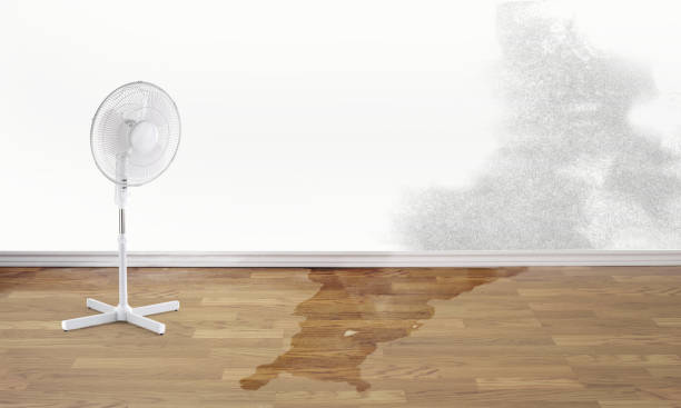 Best Ceiling water damage repair  in Paducah, TX