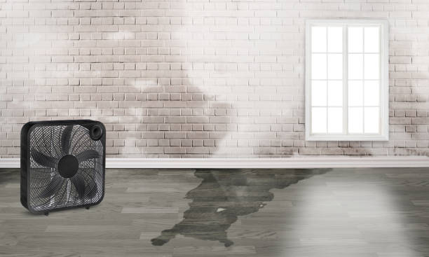  Paducah, TX Water damage restoration Pros